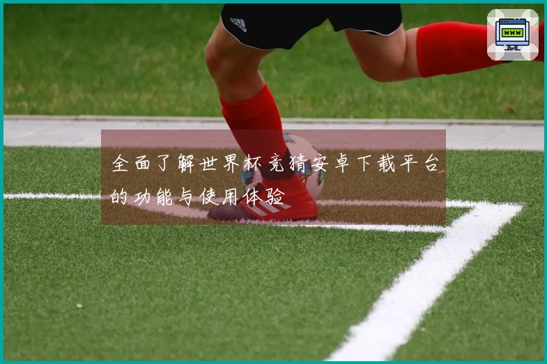 全面了解世界杯竞猜安卓下载平台的功能与使用体验