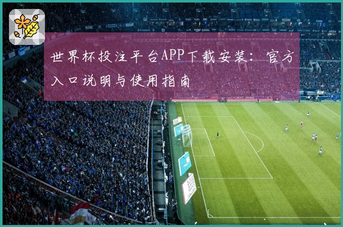 世界杯投注平台APP下载安装：官方入口说明与使用指南